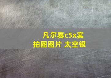 凡尔赛c5x实拍图图片 太空银